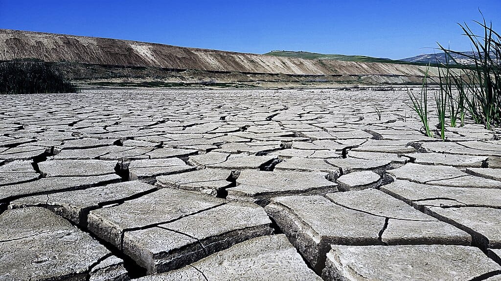 A dry and cracked landscape with some grasses to the right