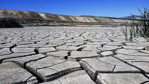 A dry and cracked landscape with some grasses to the right